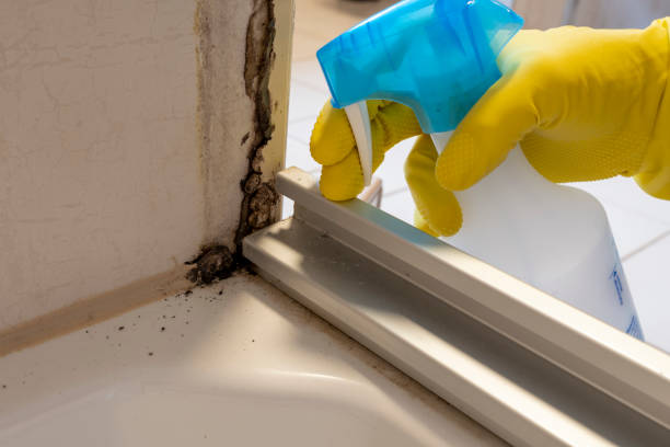 Best Residential Mold Inspection & Testing  in Grant, AL